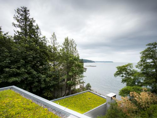 Extensive green roofs